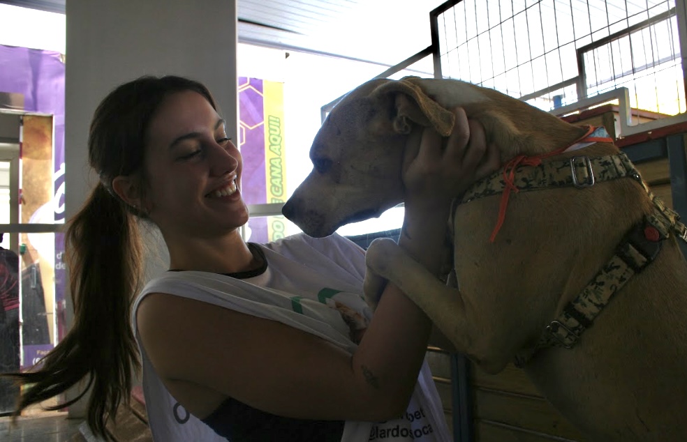 Feirinha de adoção